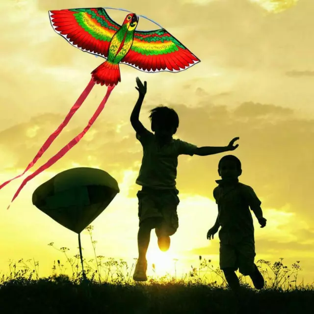 3D Parrot Kite Kids Toy Fun Outdoor Flying Activity With Gift Children Tail S4Z9