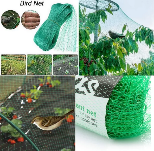 BFG Red malla proteccion Anti-pajaros aves 5x3m,para jardin,plantas,alta calidad