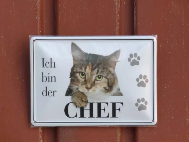 Blechschild  Ich bin der CHEF..... Katze Katzen Blechpostkarte 10 x 15 cm Neu