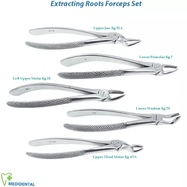 Extraction Forceps Inférieur Supérieur Molaire Chirurgical Dents Cranté Root Tip