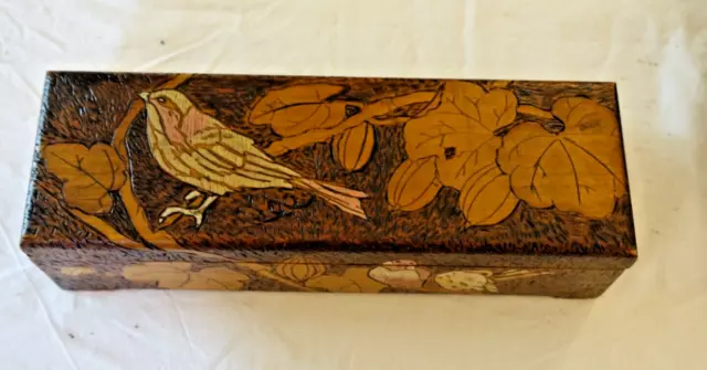 boite à gants,coffret à bijoux  pyrogravée et peinte art nouveau oiseaux 1900