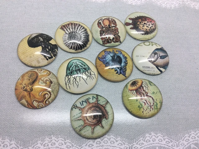 10 Ocean Sea Fish Cabochons 16-25mm Mixed Round Glass Picture Dome Flat Back