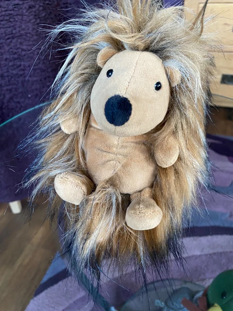 Didi Hedgehog