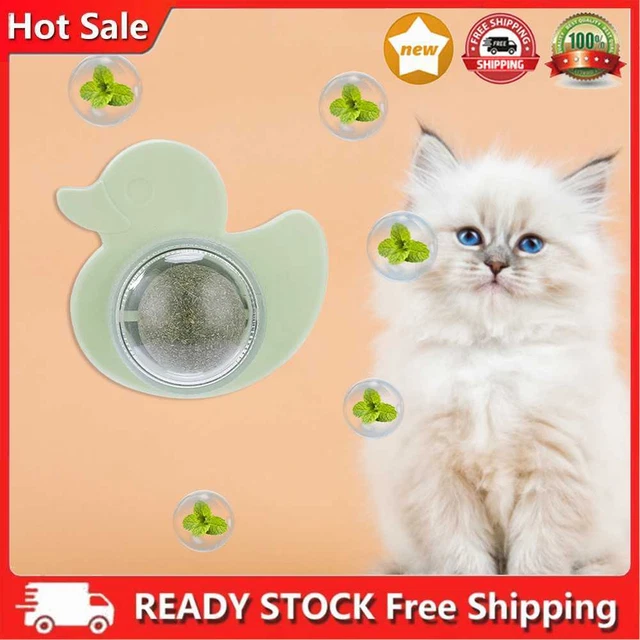 Anatra gatto dolci deliziare snack gatto girevole giocattoli da masticare forniture per animali domestici