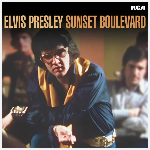 エルビスプレスリー　ボックス　セット COLLECTION/ELVIS PRESLEY/エルヴィス・プレスリー/1974年から