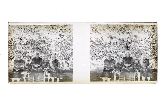 Famille France Photo Amateur NEGATIF PL51L31n1 Plaque de verre Vintage 1909