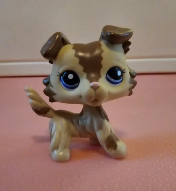 Littlest Pet Shop # 2210 Tan Brown Zig Zag Collie Blue Eyes Dog Figure