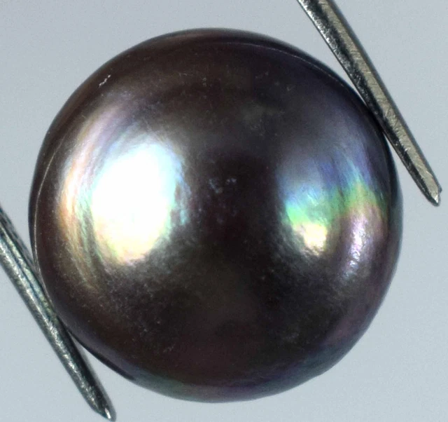 Perle Naturelle Des Mers Du Sud Violet Or - 8 Mm Rond - 3,40 Ct - Certifiée GDL Australie - Neuf Avec étiquette