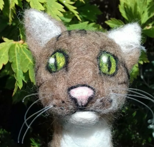 CAT HEADS NEEDLE FELT Kit  6 cat heads Kit rare breed British Wool