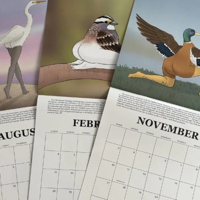 2024 CALENDAR OF EXTREMELY ACCURATE BIRDS 2024 Bird Calendar Wall