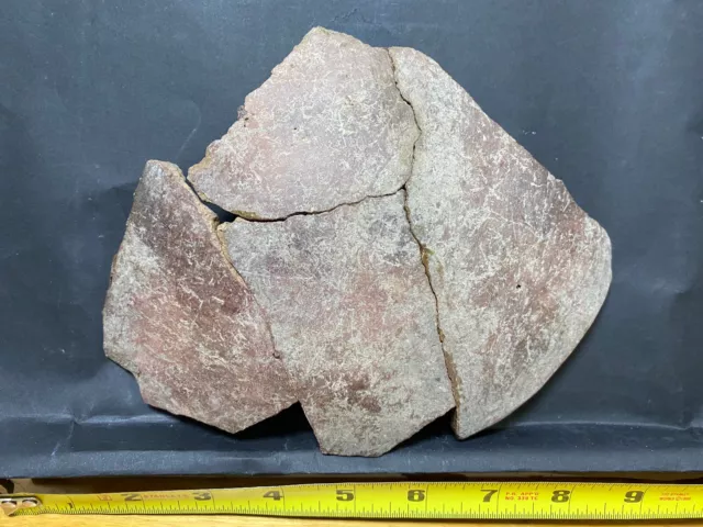 Puerto Rico, Pre-1500s, PRE-COLOMBIAN Taino, Large SHARD / Fragmento, Barro