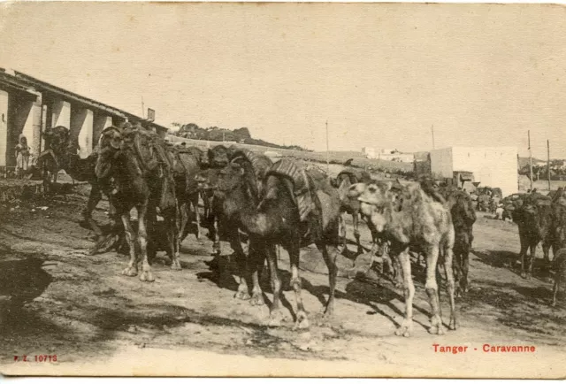 Carte Postale / Postcard / Maroc / Tanger Caravanne