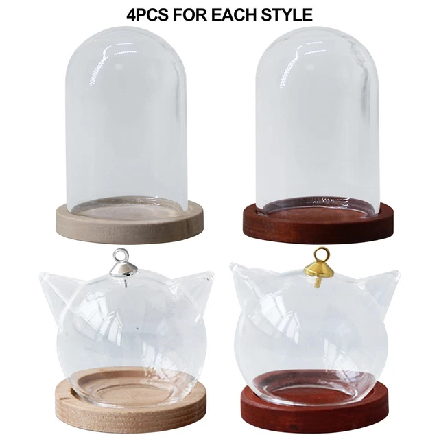 Cloche En Verre Décorative Avec Base En Bois (Diamètre 11 Cm, Hauteur