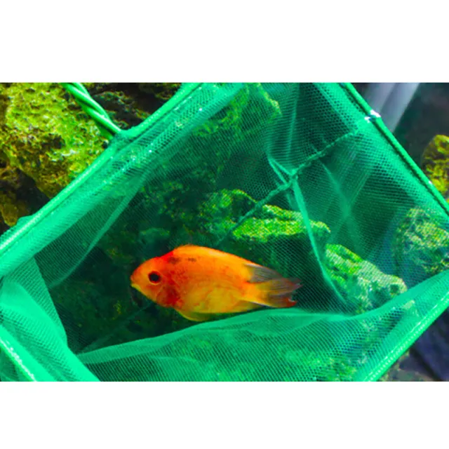 1Pc Green Aquarium Fish Tank Square Shrimp Small Betta Fish Net 3"-10" 6 Siz*UR 5