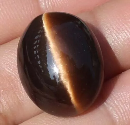 Large Natural Tiger's Eye 61.70 Ct Oval Cabochon Loose Gemstone 4 Ring & Pendant