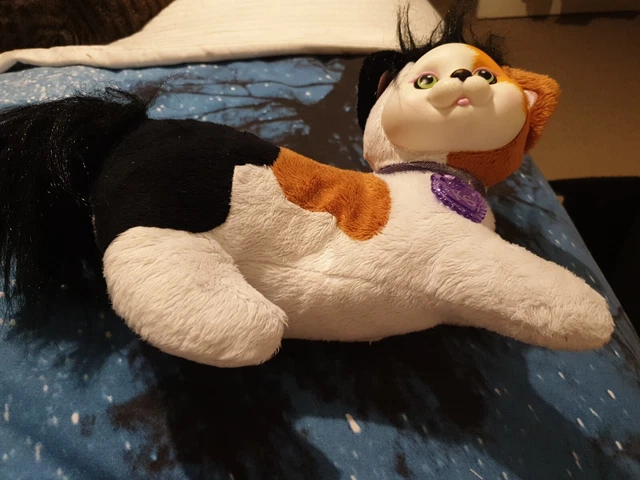 Kitty surprise maple top
