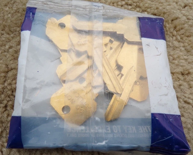 Bag of 10 Schlage SLG-4C Key Blanks; g18