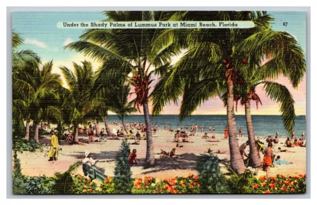 Miami Beach, FL Florida, Lummus Park Under Shady Palms, Vintage Linen Postcard