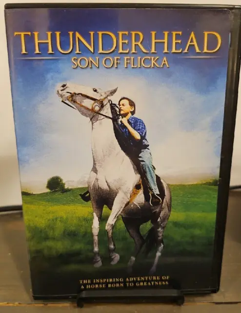 Thunderhead: Son of Flicka (DVD, 2005)