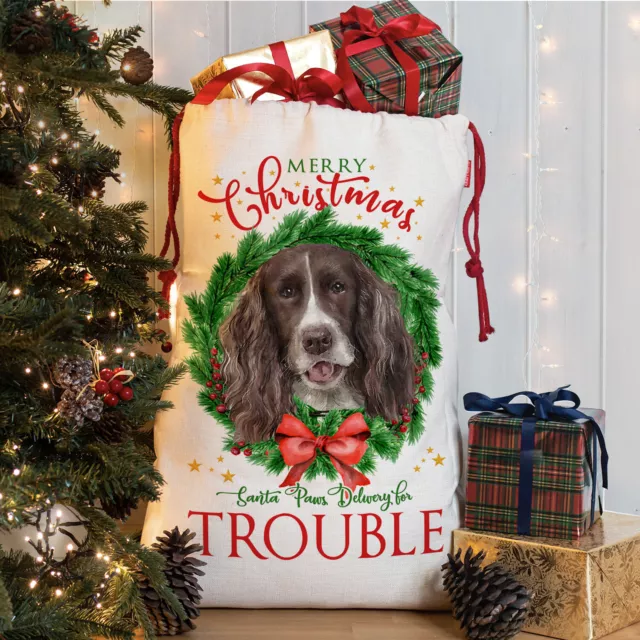 Springer Spaniel Christmas Sack Personalised Dog Santa Bag Puppy Stocking DWS15Z 3