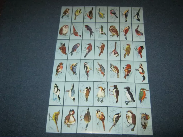 JOB LOT 42 TETLEY BRITISH BIRDS CARDS,PART SET 1970s.