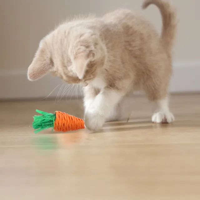 5Stk Bunny Künstliche Karotten Zahnungsspielzeug Kauen Hamster Übung Spielzeug 2