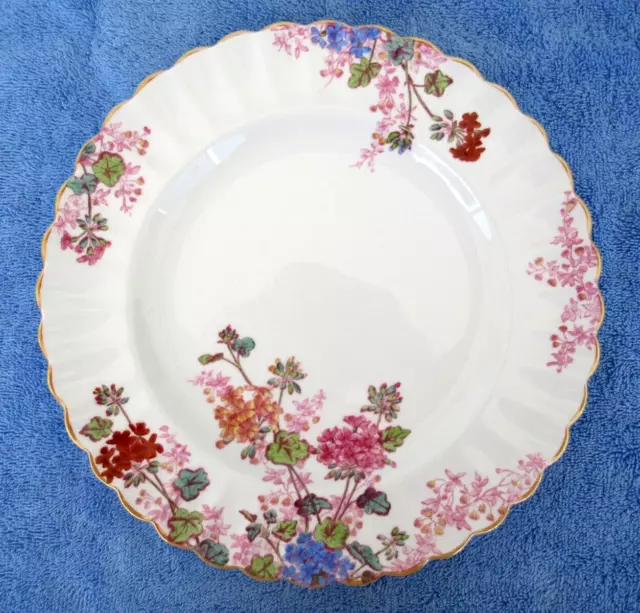 Vintage 1950s Spode Copeland China Pattern CHELSEA GARDEN Floral Dinner Plate