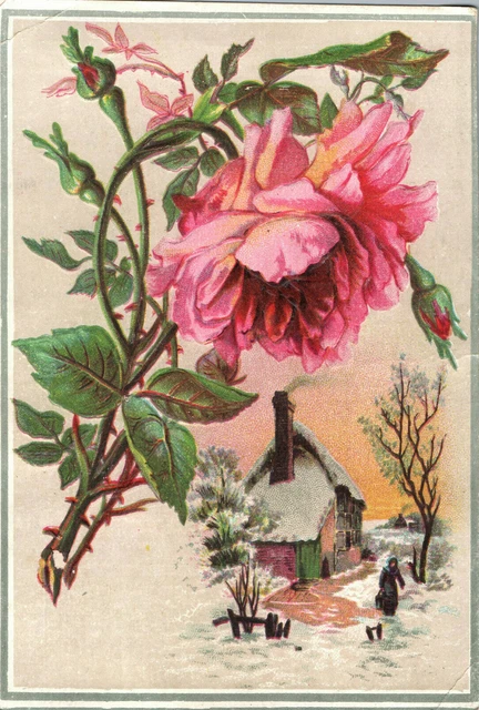 1800’s  VICTORIAN TRADE CARD WOOLSON SPICE LION COFFEE -Winter Roses