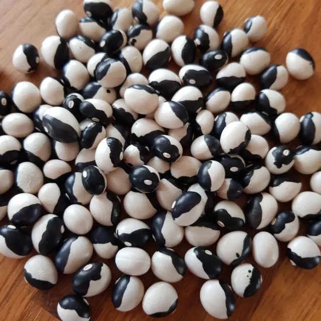 Orca, Ying Yang, Calypso, French Dwarf Bean Easy to grow. 25 SEEDS