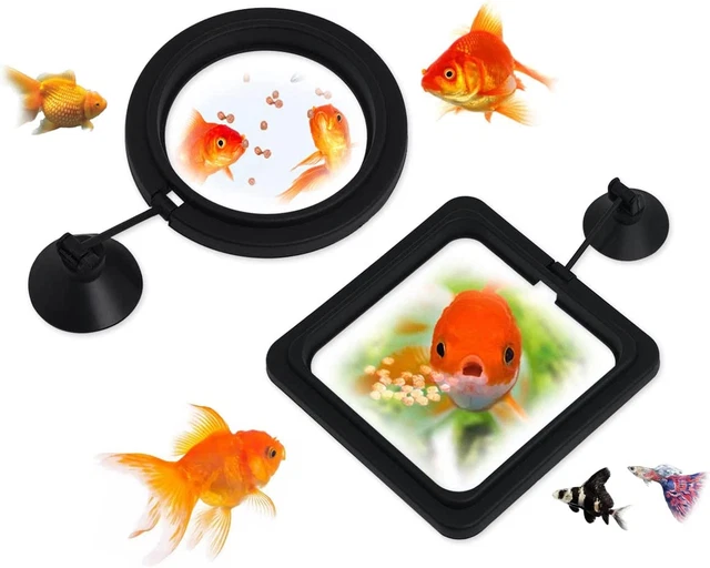 Fish Feeding Ring 2 Pieces Aquarium and Tank Floating Rings Food Feeders with Su