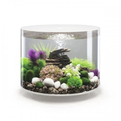 BiOrb Tube 15,30, 35 Mcr Light-BiOrb Aquarium-BiOrb Fish Tanks 2