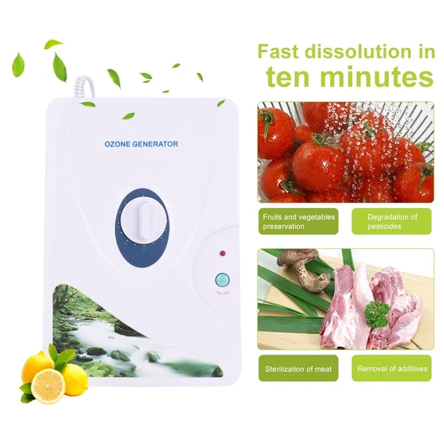 Ozone Generator Ozonator Purifiers 600mg/h Oil Vegetable Meat Purify FR