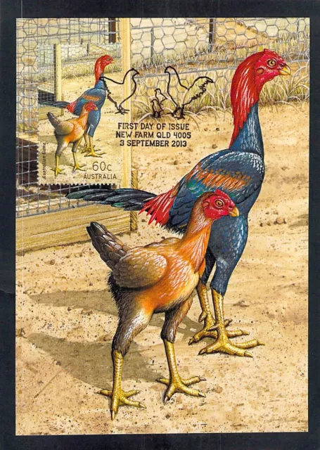 S0204 Australia 2013 Poultry and Game Aust Post Maxicard postcard