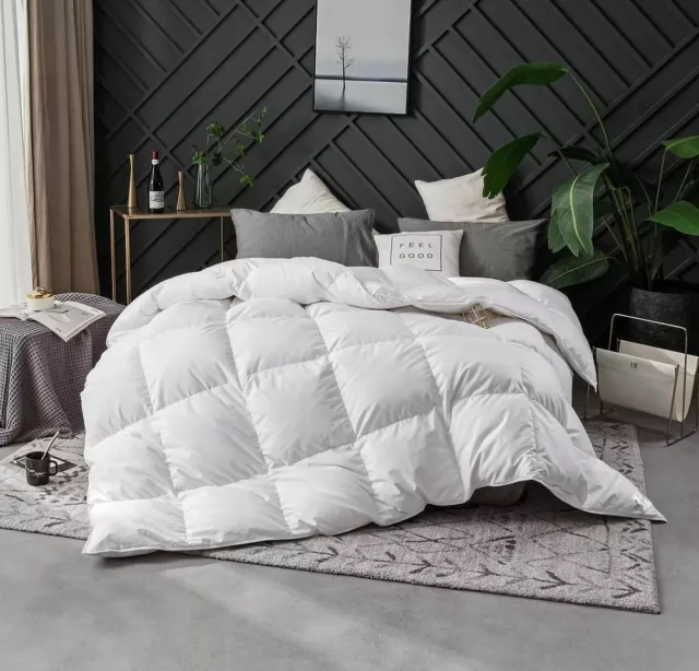 Couette 220x240 CM AELA blanche en plume d'oie anti acarien 500 gr