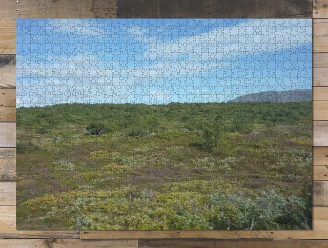 1000 piece puzzle for adults: Iceland Nature Landscape