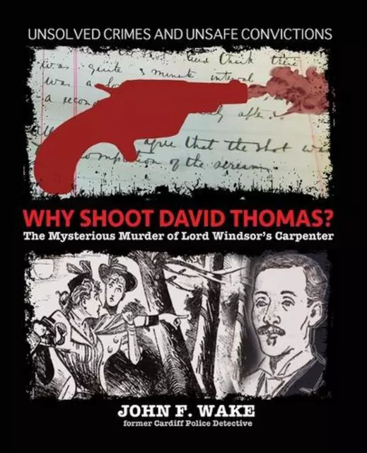 Why Shoot David Thomas?: The Mysterious Murder of Lord Windsor's Carpenter by Jo