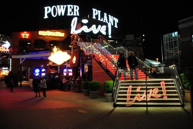 🔥1 x 100 Power Plant Live - $100 Total - Mailed Out Same Day!