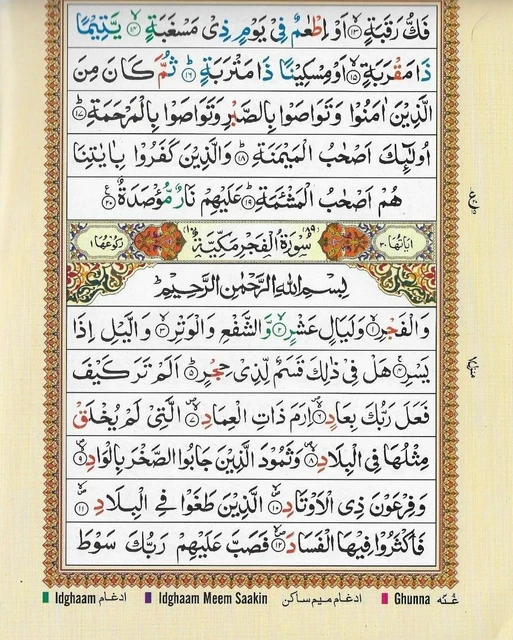 9 Line/30 Para Quran Set W/Colour Coded Tajweed, Large, Indopak - View #4