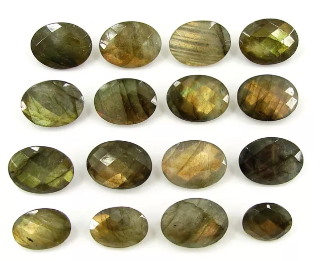 121.35 CT Naturel Labradorite Pierre Ovale Checker Coupe 16 Pièces Lot - 1669