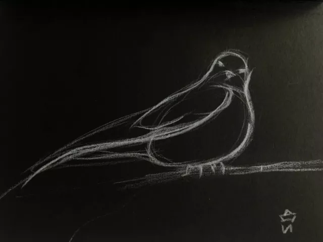 A2 Sketch Pad- Art Paper Craft Drawing Sketching Book Bird Design ( 2 x  Pads)
