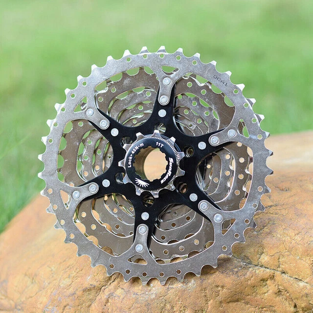 sunrace 8 speed freewheel