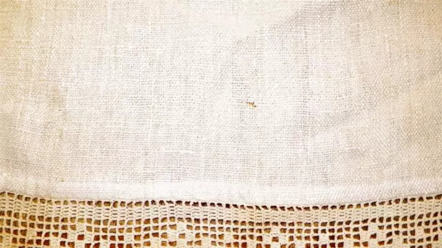 Antique Homespun Doily Linen Hemp Flax Antimacassar Crocheted Edge Trim 3