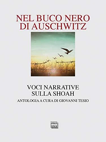 nel buco nero di auschwitz voci narrative sulla shoah 64 aa.vv. 9788868573607
