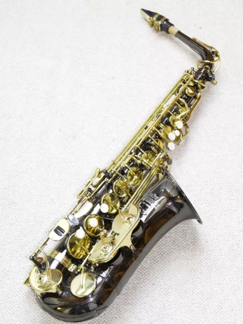 Roy Benson AS-202K wind instruments Alt-Saxophon