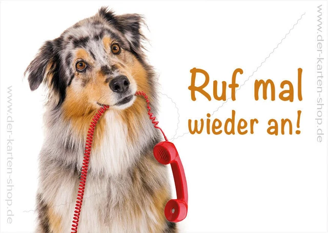 Australian Shepherd Hundekarte – Blanko Premium-Karte 12,7 X 17,8 Cm Für Geburtstag & Grüße