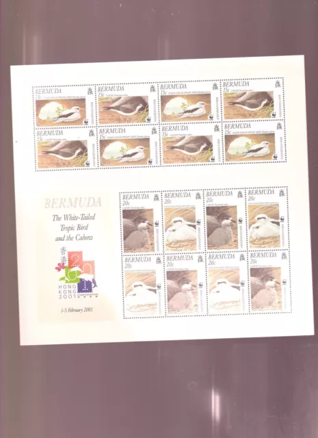 582332/ Fauna Vögel Wwf Tiere Block ** Mnh Bermuda