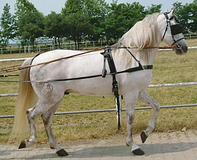 Finimento Completo Per Calesse In Cuoio Harness