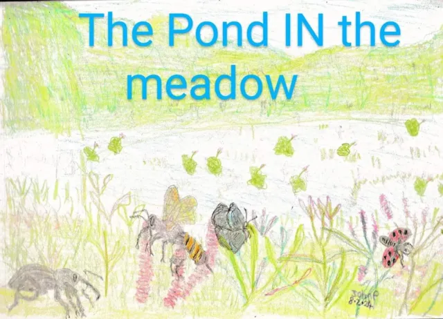 "Teich auf der Wiese"" Farbstifte Zeichendruck auf Leinwand von John Philip Peg"