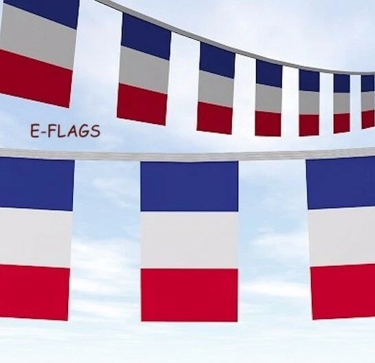 10 METRE'S 20 Flags Euro 2024 France Flags Party Bunting Banner Speedy