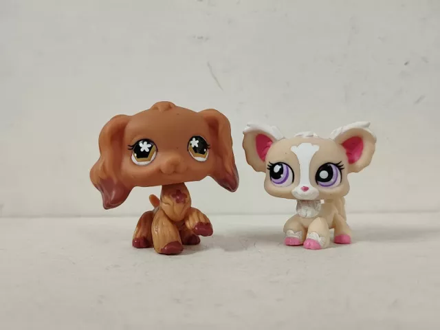 2pcs/lot LPS Toys Littlest Pet Shop Dog #716#1892 Animal Figures